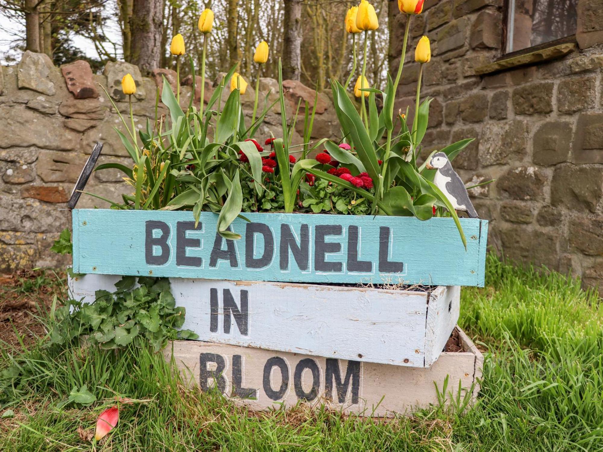 High Sea View Villa Beadnell Bagian luar foto